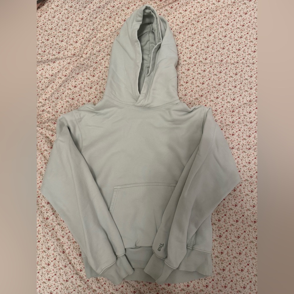 aritzia hoodie